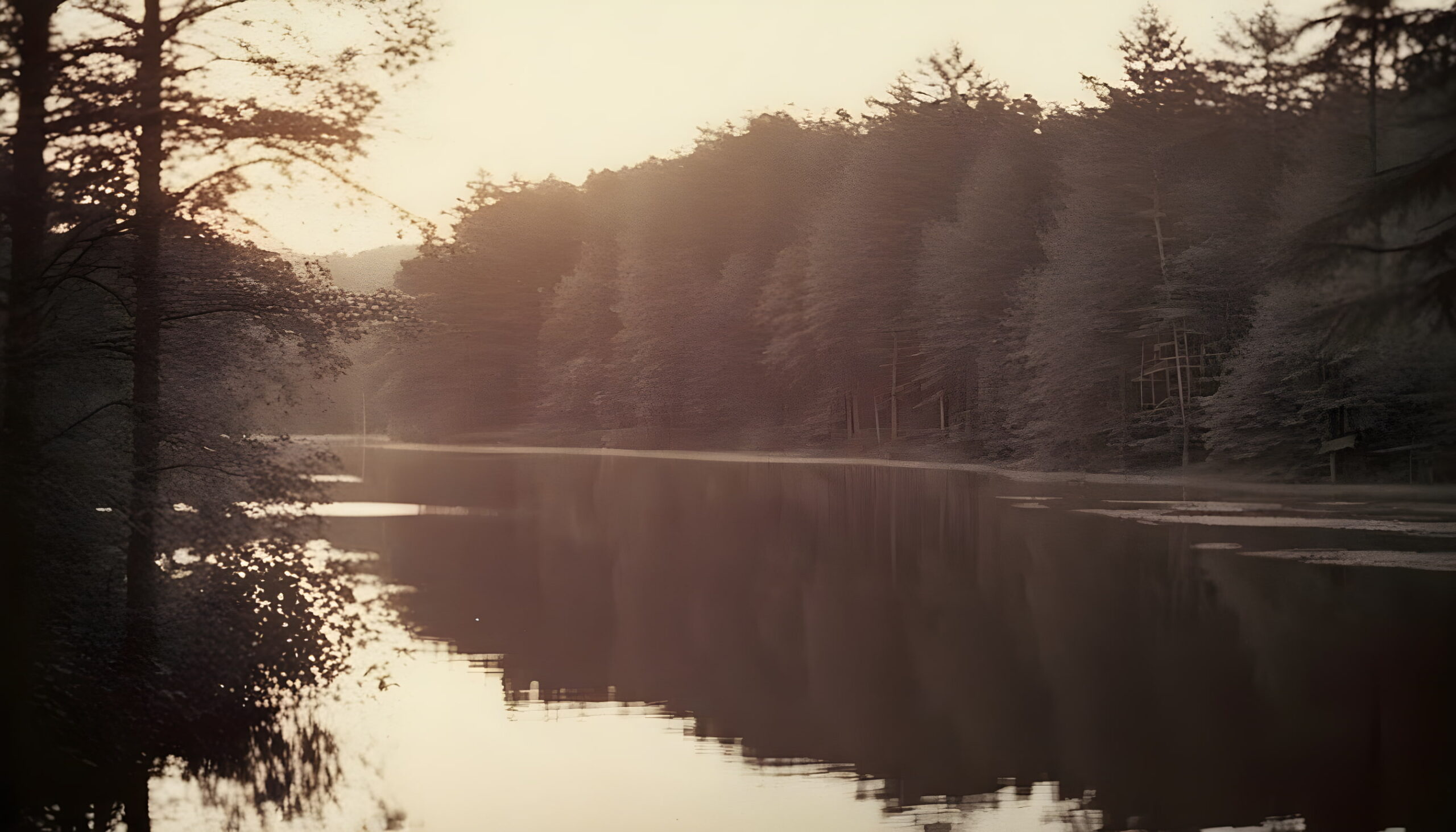 森の中の湖のモノトーン写真